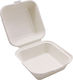 Sabert Set von 50 Boxen Burger 15x15x8cm