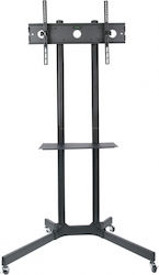 Art S-08A TV Mount Floor up to 65" and 60kg