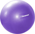 Pegasus Mini Μπάλα Pilates 25cm 0.19kg σε μωβ χρώμα