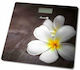 Lucznik Ψηφιακή Ζυγαριά 150kg Plumeria BS-973 W14