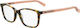 Moschino Plastic Eyeglass Frame Brown Tortoise ...