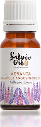 Tettix Salveo Oil Λεβάντα Ισπανίας 10ml