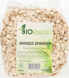 Viovlastos Κριθαριού Flakes Oat 500gr