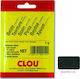 Clou Pigment Negru 12gr