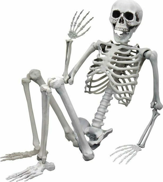 Αποκριάτικο Αξεσουάρ Ανθρώπινος Σκελετός 45x170 cm 04184 | Skroutz.gr
