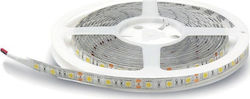 Geyer Ταινία LED 12V Ψυχρό Λευκό 5m Geyer Ταινία LED 12V Ψυχρό Λευκό 5m