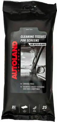 Autoland Cleaning for Interior Plastics - Dashboard 117130199