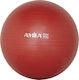 Amila Μπάλα Pilates 55cm, 1kg σε Κόκκινο Χρώμα