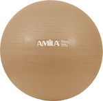 Amila Μπάλα Pilates 55cm, 1kg σε Χρυσό Χρώμα