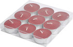 SET OF 9 WAXES RESO - RED FRUITS