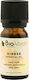 Βιολόγος Αιθέριο Έλαιο Ginger 10ml