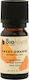 Viologos Essential Oil Orange Edible 10ml