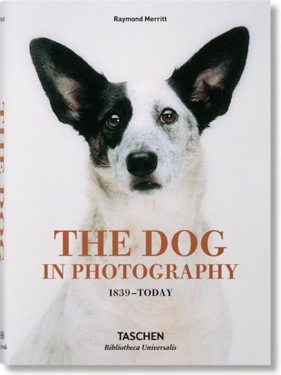 The Dog in Photography 1839-Today