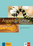 ASPEKTE JUNIOR C1 GLOSSAR