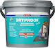 PGP Dryproof Waterbased Masonry Waterproofer Επαλειφόμενο Στεγανωτικό 10lt Λευκό