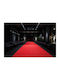 Newplan Elea Carpet 3-01-ELEA-249 Width 200cm Cut-to-Measure