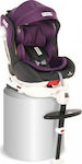 Lorelli Pegasus Baby Car Seat with Isofix Grey & Violet 0-36 kg 10071462101