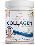 Swedish Nutra Collagen Pure Peptide with Fish Collagen 10000mg 300gr