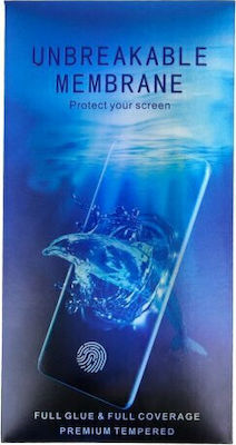 Hydrogel Screen Protector (Galaxy Note 20)