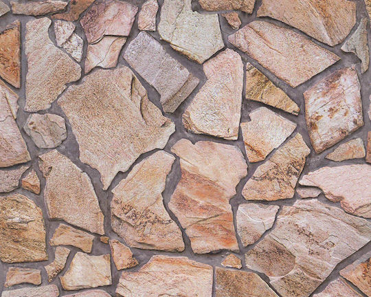 Tapete Wood Stone Vinyl Braun L1000xB53cm Waschbar 927316
