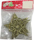 Christmas Star Ornament Gold 2pcs