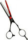 Haito Akuma Hair Cutting Thinning Scissor 6"