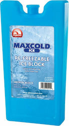 Igloo Ice Block Medium Παγοκύστη 400ml