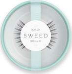 Sweed Bom Dia False Lashes in Black color