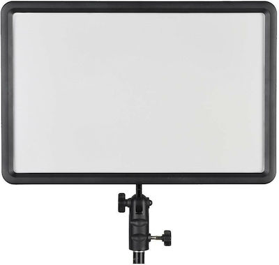 Godox P260C Video Licht Tageslicht 3200 - 5600K 30W mit Helligkeit LUX 1100 Lux