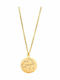 Puppis Aquarius Zodiac Sign Aquarius from Gold Plated Steel with Zircon