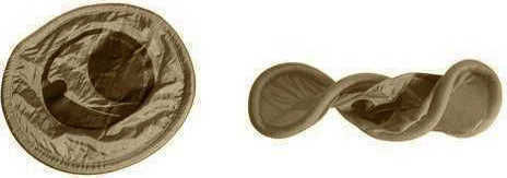Ticket To The Moon Pocket Frisbee Καφέ