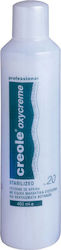 Dafnis Οξειδωτικό Γαλάκτωμα 20Vol 500ml Dafnis Οξειδωτικό Γαλάκτωμα 20Vol 500ml