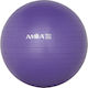 Amila Μπάλα Pilates 55cm, 1kg σε Μωβ Χρώμα