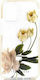 Ted Baker Back Cover Σιλικόνης Διάφανο (iPhone 12 mini)