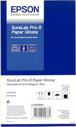 Epson SureLab Pro-S Paper BP Glossy Χαρτί Ρολό 152mm x 65m 254gr/m²