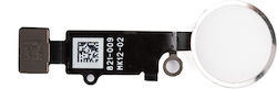 Home Button Assembly Λευκό για iPhone 7 Home Button Assembly Λευκό για iPhone 7