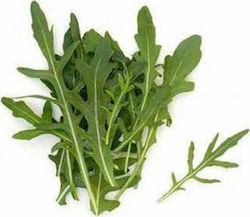 Rocket Seed "Wild 50gr - Rocket with a delicious spicy taste and crispy leaf
