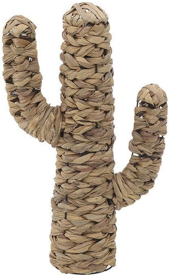 Inart Desktop Decoration Garden Wicker Cactus 34x14x59cm 34cmx14cmx59cm 3-70-823-0235