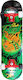 Athlopaidia 7.99" Complet Placă scurtă Multicol...