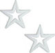 Hanging Ornament Star Plastic White Set 2pcs