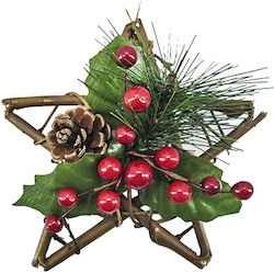 XMASfest Weihnachtlicher Dekorativer Anhänger Stern Kunststoff 15x15cm 1Stück XMASfest Weihnachtlicher Dekorativer Anhänger Stern Kunststoff 15x15cm 1Stück