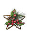 XMASfest Plastic Christmas Decorative Pendant Star 15x15cm Red