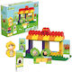 Biobuddi Blocks Farm for 1.5-6 years Years 42pcs