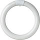 Evivak Λάμπα LED 20W Τύπου Φθορίου 300mm για Ντουί G10Q και Σχήμα T9 Ψυχρό Λευκό 810lm