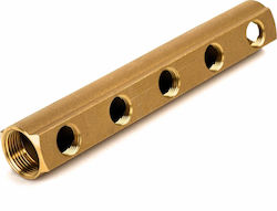 Collector 1" 8 Sockets Brass