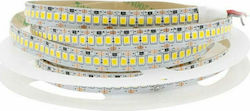 Aria Trade LED Streifen Versorgung 12V mit Warmes Weiß Licht Länge 5m