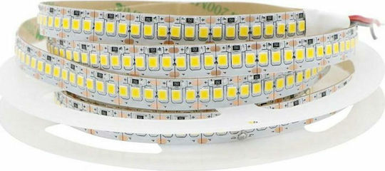 Ταινία LED 12V Θερμό Λευκό Φως 5m