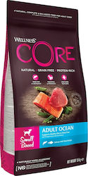 Wellness Core Grain Free Small Adult Ocean 5kg Dry Food Grain Free for Adult Dogs of Small Breeds with Salmon and Tuna