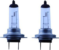 Carman Lămpi H4 Halogen 2buc