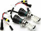 Carman Lamps Car & Motorcycle H4 Xenon 6000K Cold White 2pcs